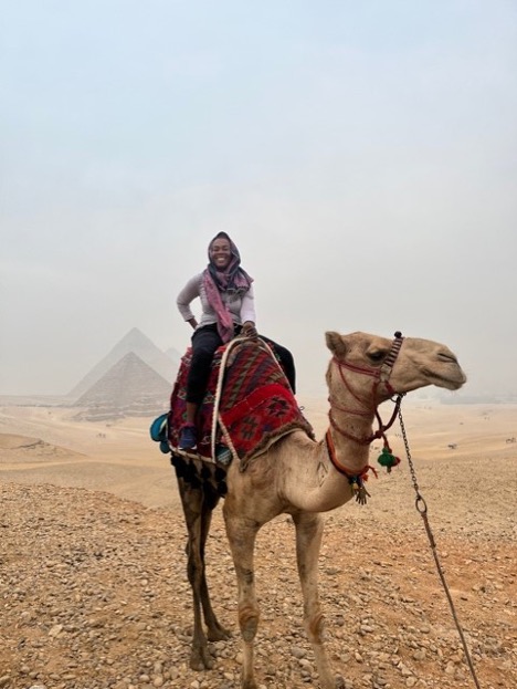 12- Camel